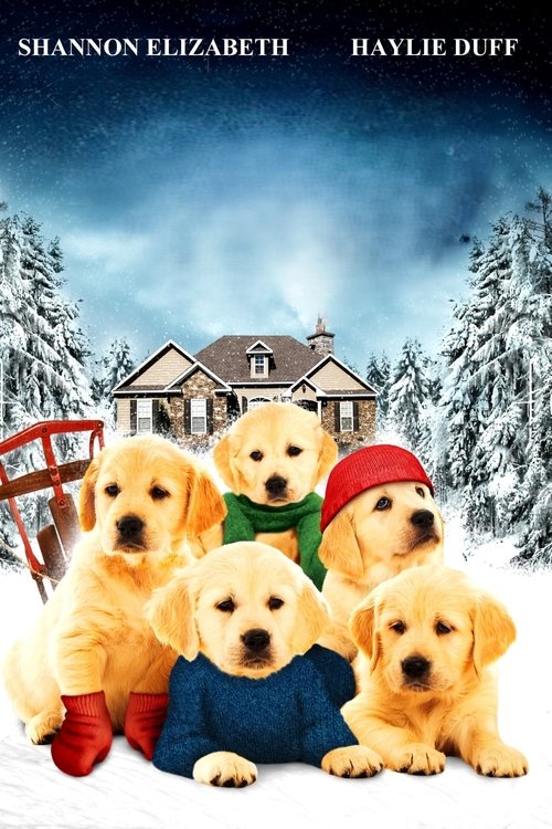 Golden Winter poster