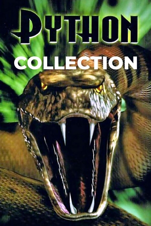 Python Collection