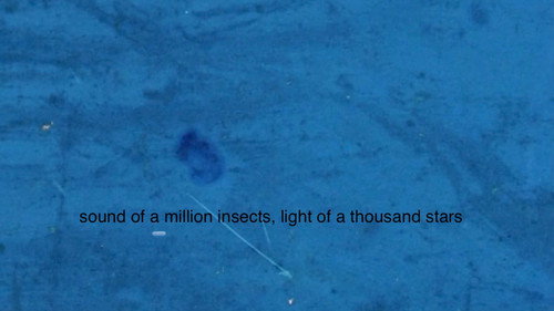 Sound of a Million Insects, Light of a Thousand Stars