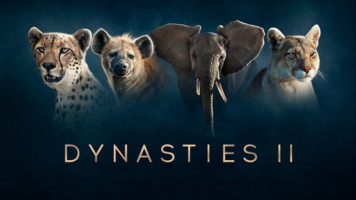 Dynasties