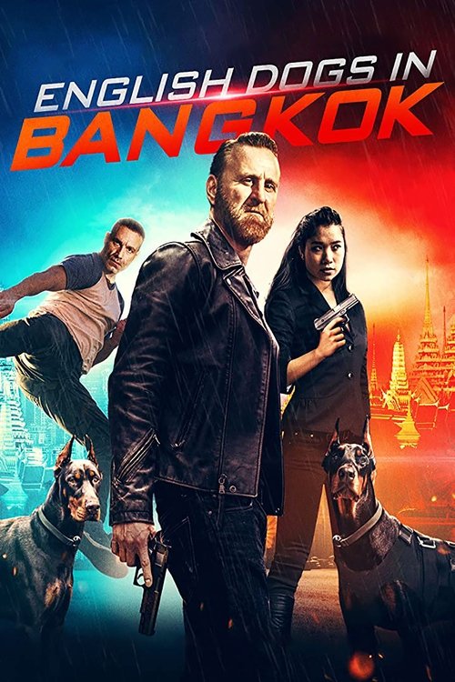 English Dogs in Bangkok 2020