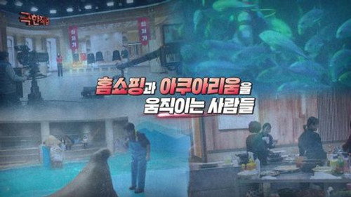 Episode 1219