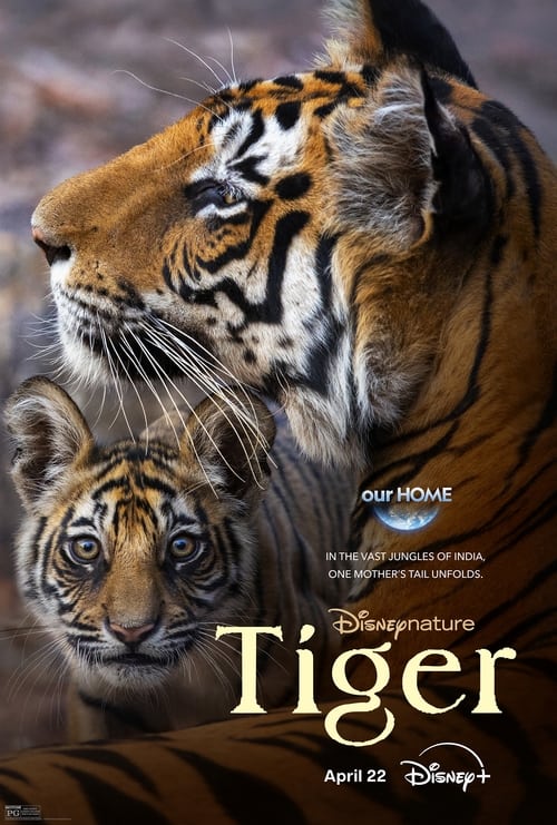 Tiger poster