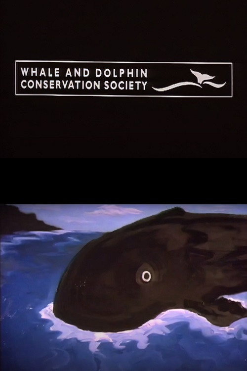 Whale And Dolphin Conservation Society: Faroe Islands