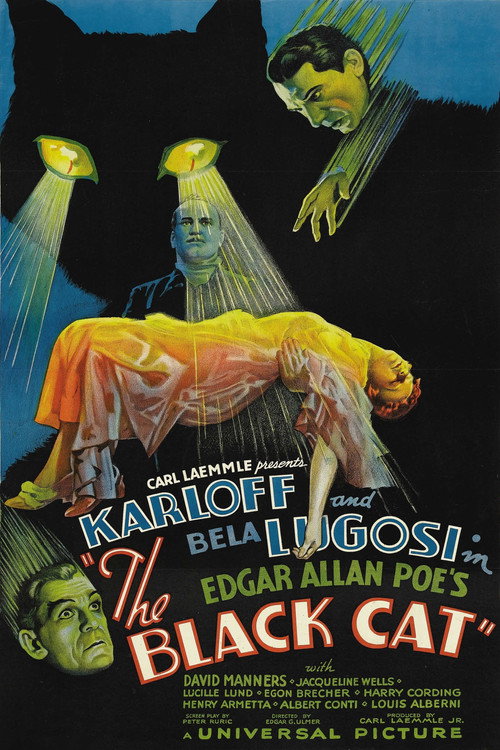 The Black Cat poster