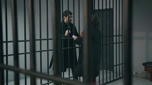 Image de l'épisode 81