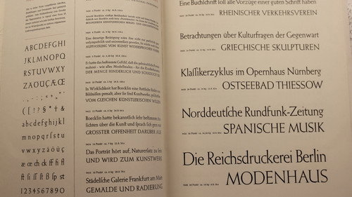Elizabeth Bild 4