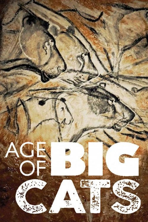 Age of Big Cats poster