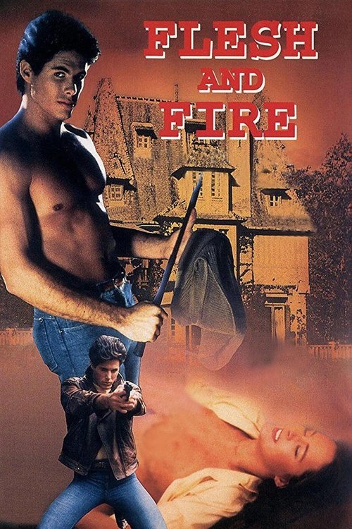 Poster 4