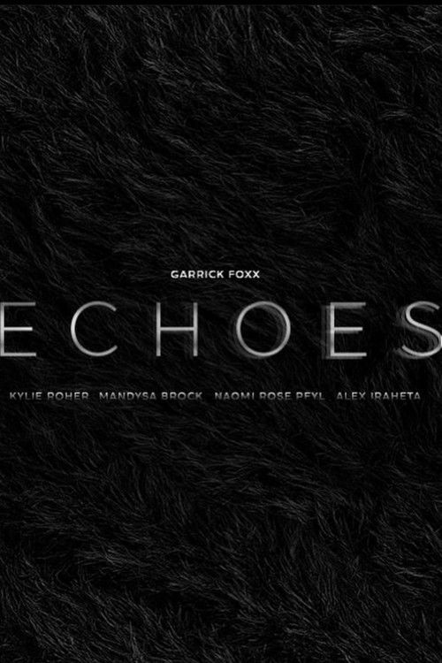 Echoes poster