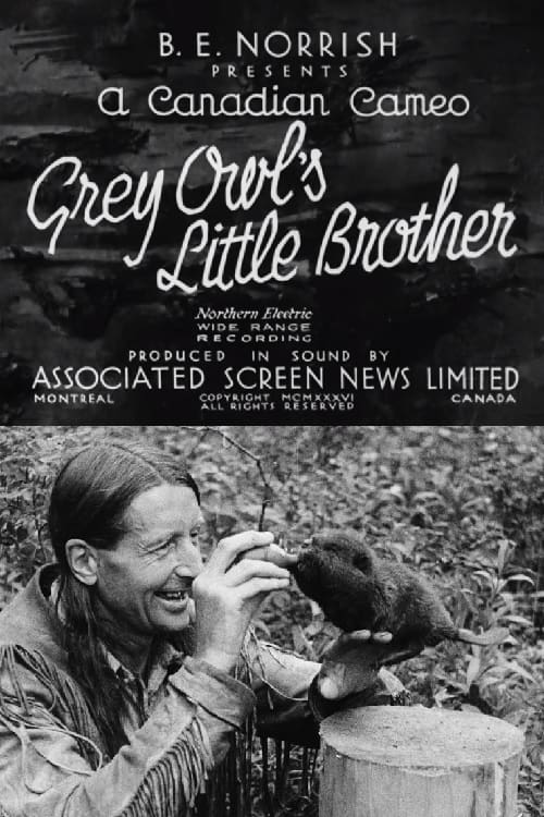 Grey Owl's Little Brother