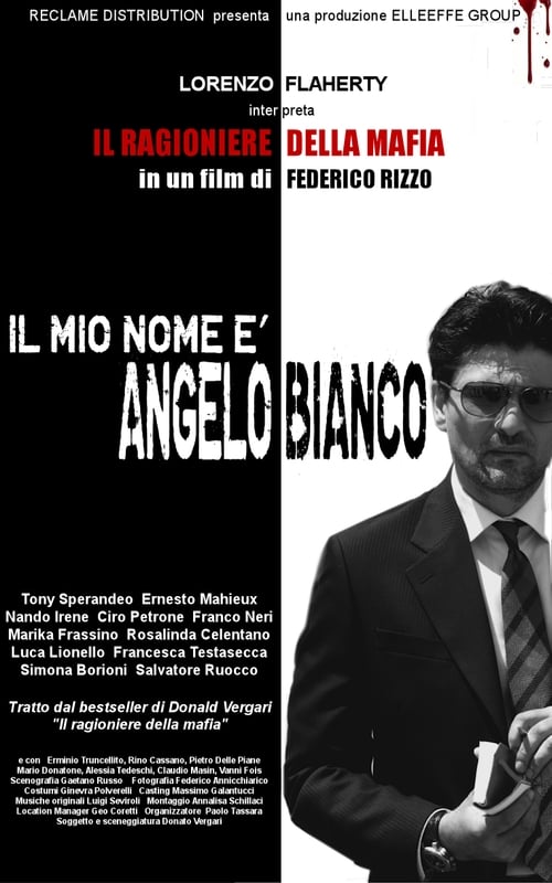 Poster do filme Il ragioniere della mafia