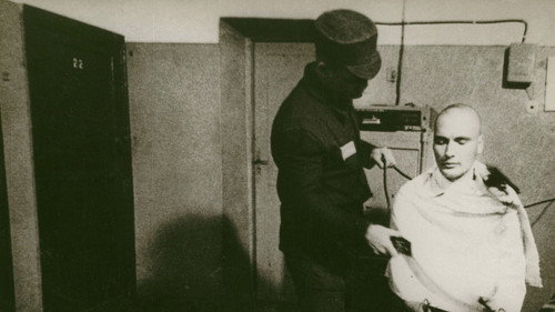 The Story of Documentary Film: 1980s