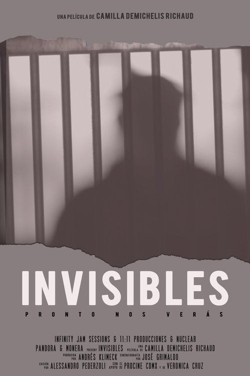 Invisibles poster