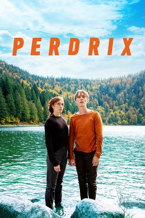 Perdrix (2019) poster