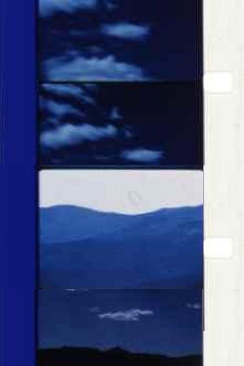 Vision of the Fire Tree still 2