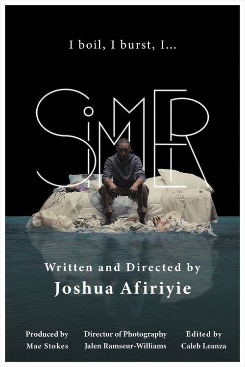 SIMMER poster