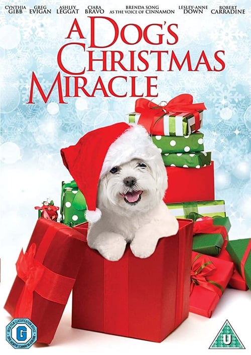My Dog's Christmas Miracle 2011