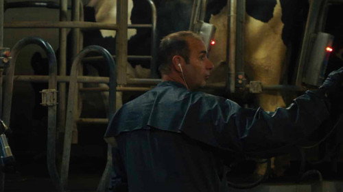 Un été à la ferme - L'âge d'or