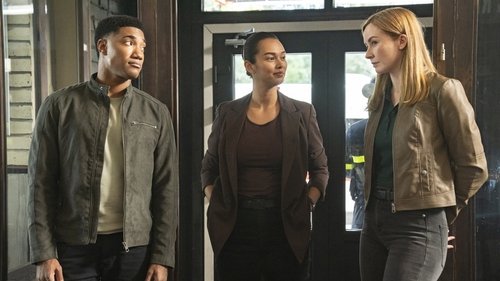 FBI: Internacional: 4×2