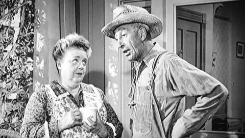 Escena del episodio 15 de la temporada 4 de la serie The Andy Griffith Show