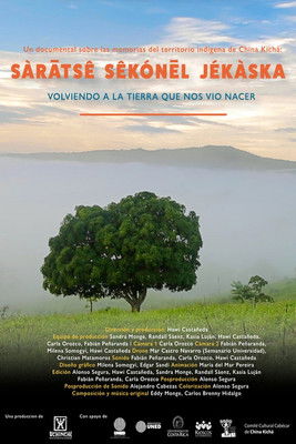 Back to Our Homeland poster