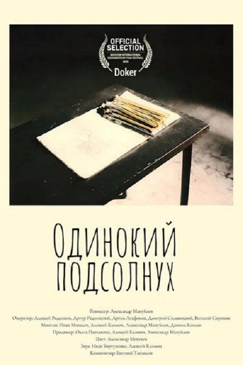 Одинокий подсолнух