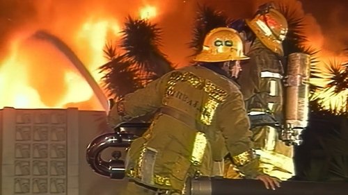 Image de l'épisode 13