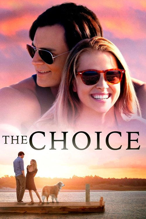 Largescale poster for The Choice