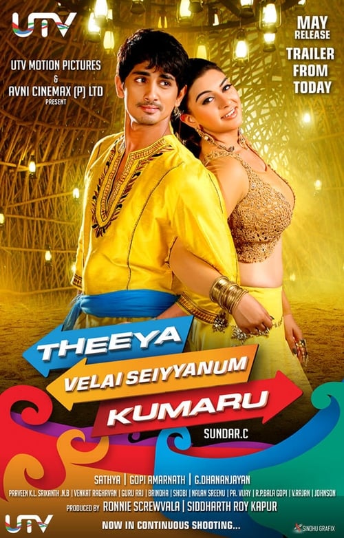 தீய வேலை செய்யனும் குமாரு (2013) poster