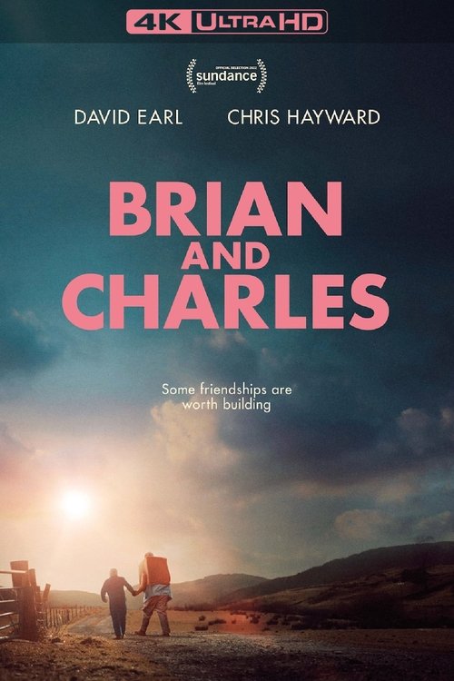 Brian and Charles poster