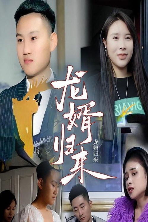 龙婿归来