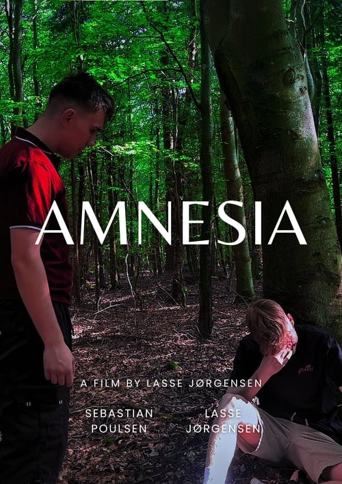Poster image du film Amnesia Amnesia