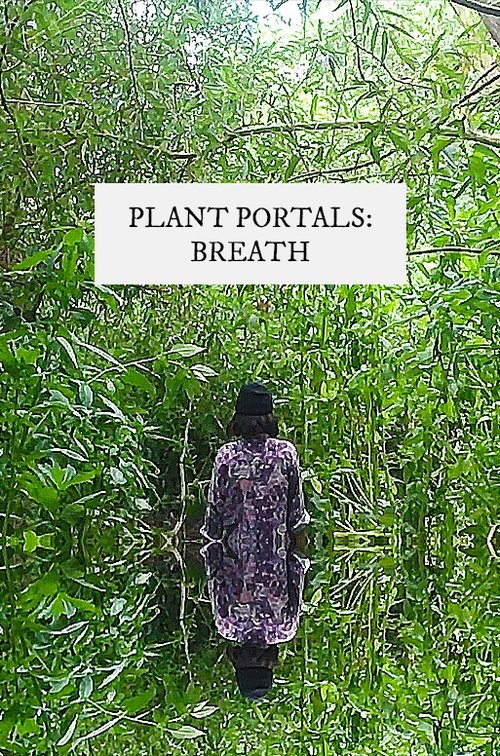 plant portals: breath (2020)