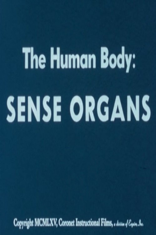 Movie poster of The Human Body: Sense Organs