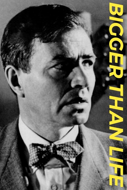 Bigger Than Life poster