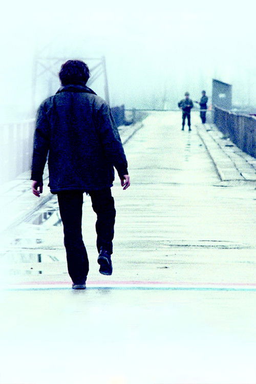 The Suspended Step of the Stork poster