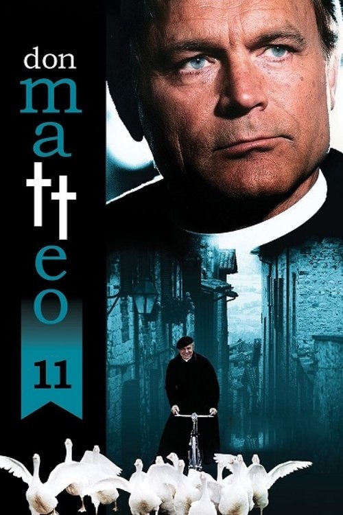 Ver temporada 11 de Don Matteo Póster de la temporada 11 de la serie Don Matteo