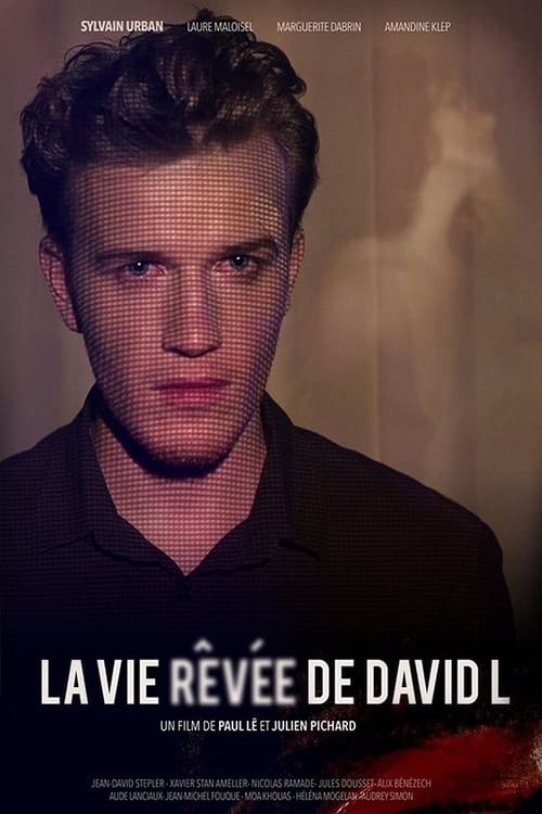 Poster La vie rêvée de David L 2014