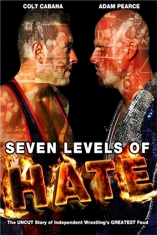 Poster Seven Levels of Hate 2013