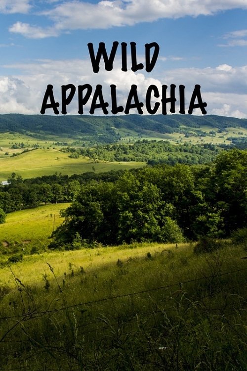 An exploration of the Great Smoky Mountains in the southeastern US. Features a look at the flora and fauna of the region and includes profiles of the rangers who patrol its vast wilderness.