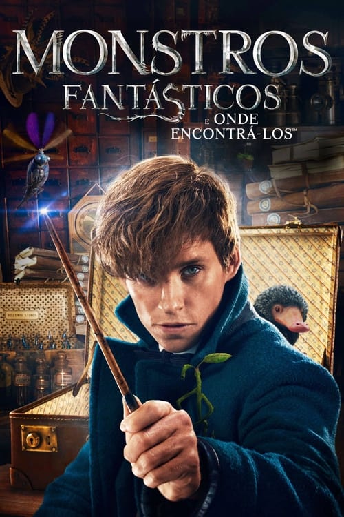 Pôster de Animais Fantásticos e Onde Habitam