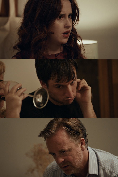 Affiche du film The Intervention