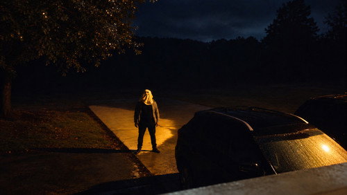 The Good Samaritan - imagem 1