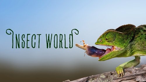 Insect World image 1
