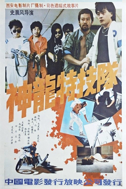 神龙特技队 (1988) poster
