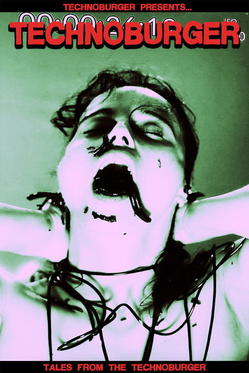 The Cosmic Idiot poster