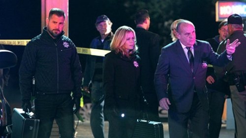 CSI: Crime Scene Investigation: 14×9