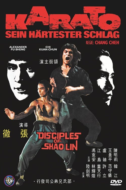 Karato - Sein härtester Schlag movie poster player
