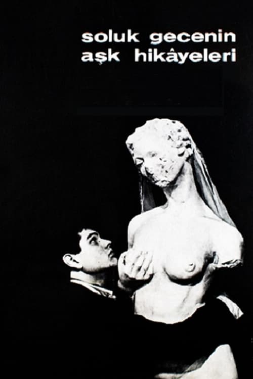 Soluk Gecenin Aşk Hikayeleri (1966) poster